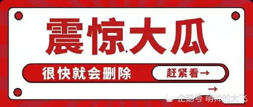 娱乐圈八卦汇总吃瓜,揭秘明星幕后故事，揭秘娱乐圈真相！